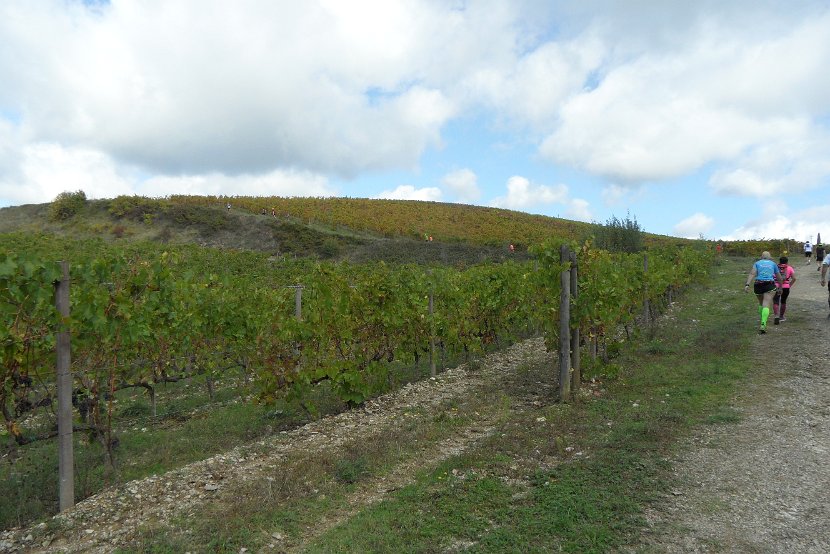 Chianti-1 2016 - 076